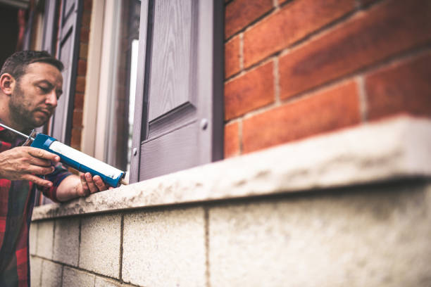 Best Local Insulation Services  in Wayland, MI