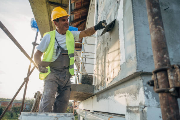 Best Insulation Contractors for Homes  in Wayland, MI