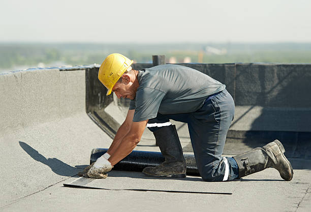 Best Insulation Inspection Services  in Wayland, MI