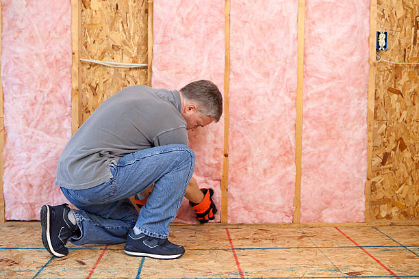 Insulation Inspection Services in Wayland, MI