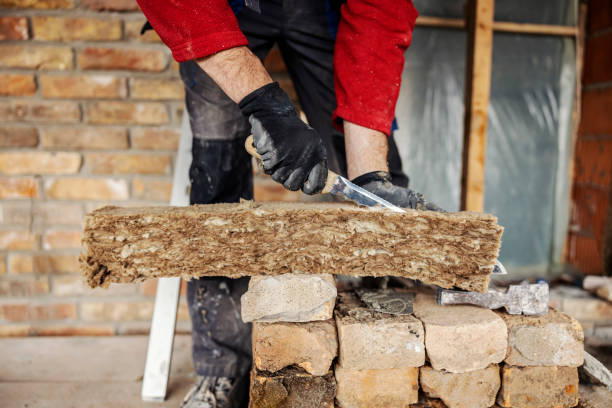 Best Home Insulation Services  in Wayland, MI