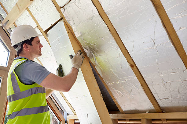 Best Wall Insulation Contractor  in Wayland, MI