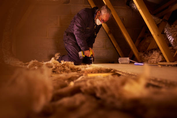 Professional Insulation Contractor in Wayland, MI